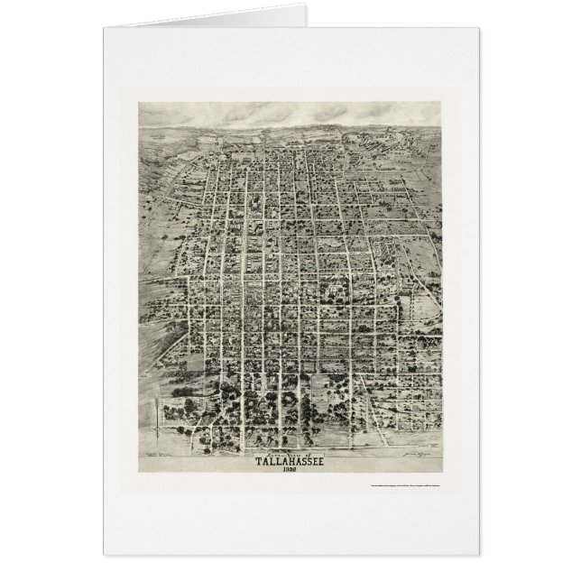 Tallahassee, carte panoramique de FL - 1926 (Devant)
