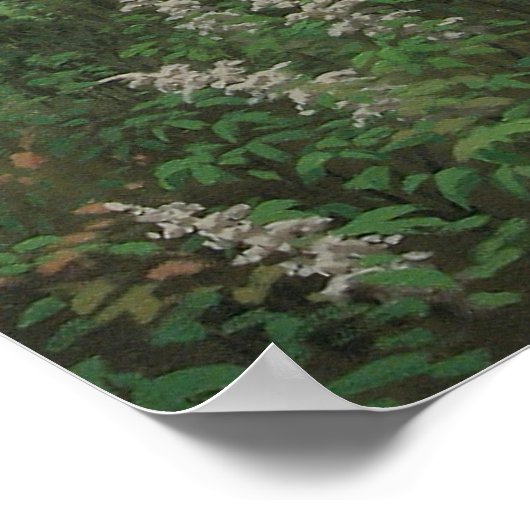 Tallahassee Fields 2 Poster (Hoek)