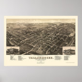 Tallahassee, FL Panoramic Map - 1885 Poster (Voorkant)