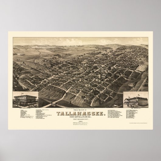 Tallahassee, FL Panoramic Map - 1885 Poster (Voorkant)
