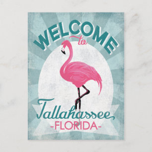Tallahassee Florida Pink Flamingo Retro Briefkaart