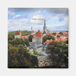 Tallin, Estland Historisch Centrum, Magneet