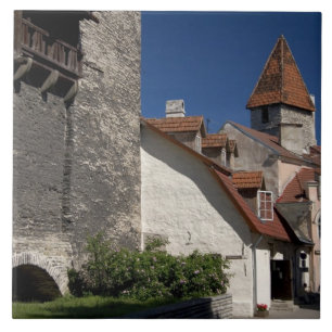 Tallin, Estland. Tallin is enigszins een Tegeltje