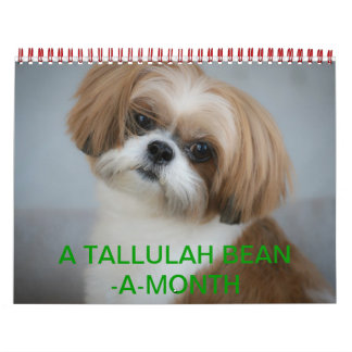 Tallulah Bean Calendar Cute Shih Tzu 2014 Kalender
