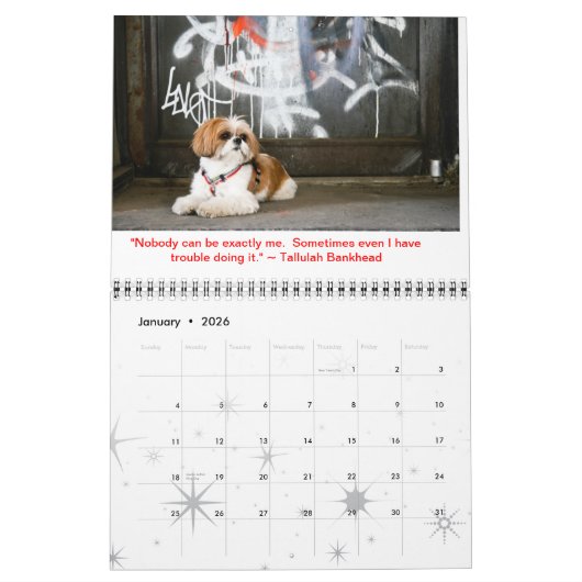 Tallulah Bean Calendar Cute Shih Tzu Kalender (Jan 2026)