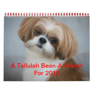 Tallulah Bean Calendrier Cute Shih Tzu