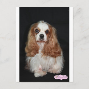 Tallulah Briefkaart
