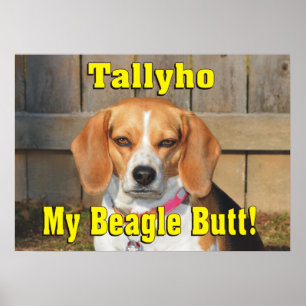 Tallyho mijn beagle Butt! Grumpy Beagle Poster