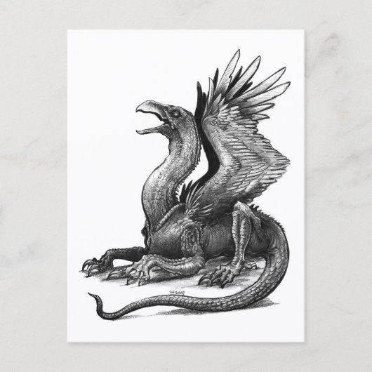 Talon - Carte postale (Devant)