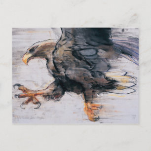 Talon - WitstaartZee Eagle 2001 Briefkaart