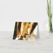 Talons (Buse à queue rouge no 2) - Carte à billets (Devant)