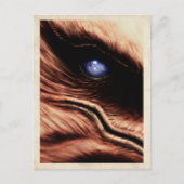 Talon's Eye - Briefkaart (Voorkant)