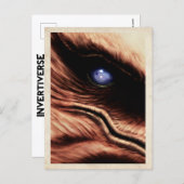 Talon's Eye - Briefkaart (Voorkant / Achterkant)