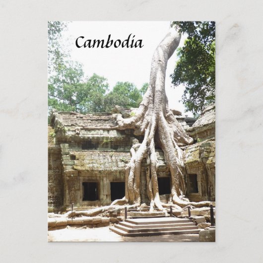 tam boomwortels briefkaart (Voorkant)