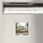 tam magneet (Insitu (Vaatwasser))