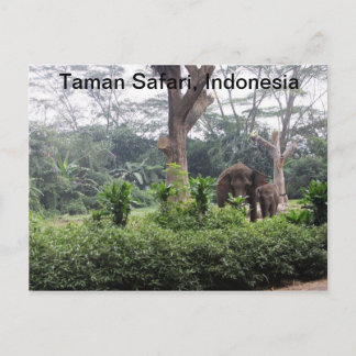 Taman Safari Briefkaart