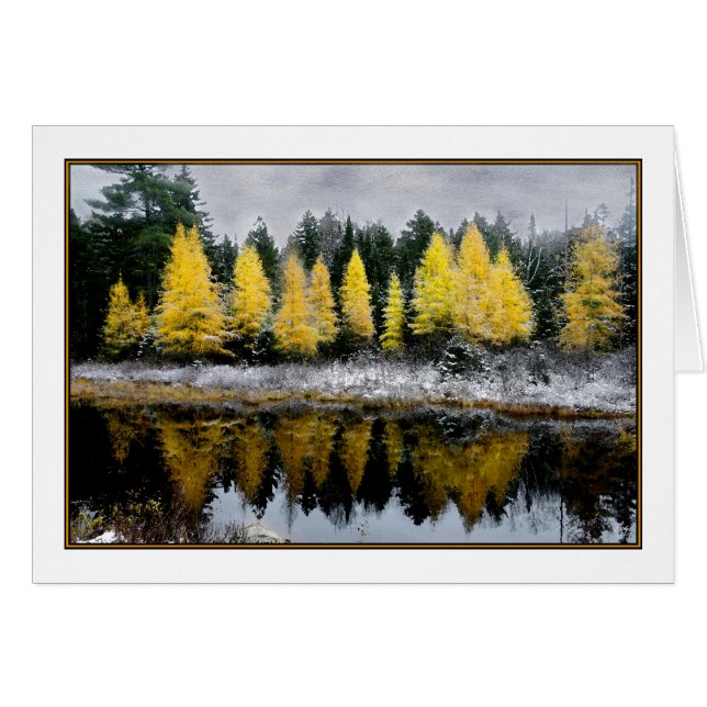 Tamarack Dreams Card (Voorkant Horizontaal)