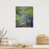 Tamarack Larch Tree 1 Poster (Cuisine)
