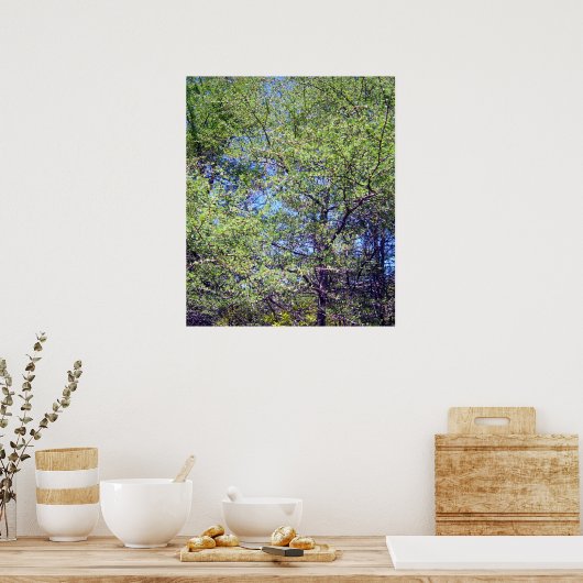 Tamarack Larch Tree 1 Poster (Cuisine)
