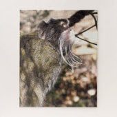 TAMARIN MONKEY LEGPUZZEL (Verticaal)