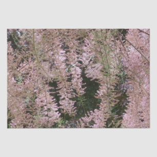 Tamarisk Blossom Tissue Paper Tissuepapier