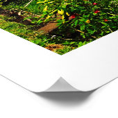 Tamblingan Lake Poster (Hoek)