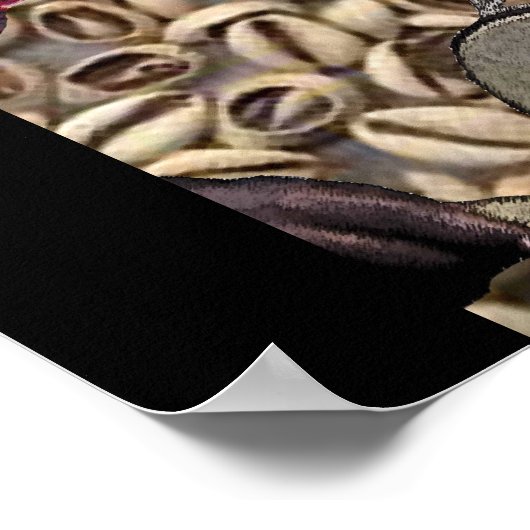 tamborine eleggua poster (Hoek)