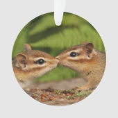 Tamia de baiser mignonnes de bébé (devant)