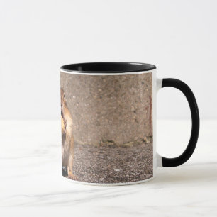 Tamia - tasse