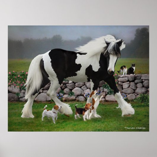 "Tamlin & The Pups" Poster (Voorkant)