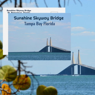 Tampa Bay Florida Sunshine Skyway Fotografisch Briefkaart