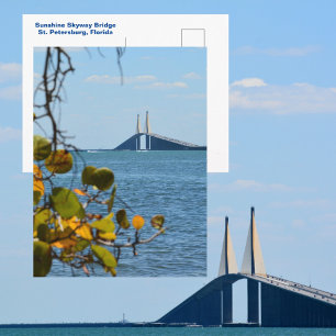 Tampa Bay Sunshine Skyway Bridge fotografisch Briefkaart
