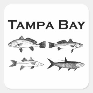 Tampa Bay Zoutwater Gevist Vierkante Sticker