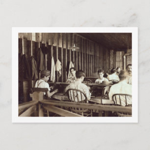 Tampa Cigar Boys, 1909 Briefkaart