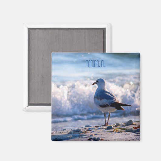 Tampa, FL fridge magnet (Recto/Verso)