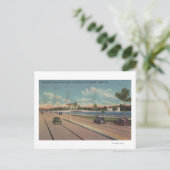 Tampa, FL - Uitzicht van Bayshore Blvd, Bridge Briefkaart (Staand voorkant)