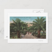 Tampa, FL - Uitzicht van de Ingang van het Park Ba Briefkaart (Voorkant / Achterkant)