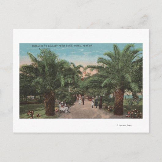 Tampa, FL - Uitzicht van de Ingang van het Park Ba Briefkaart (Voorkant)