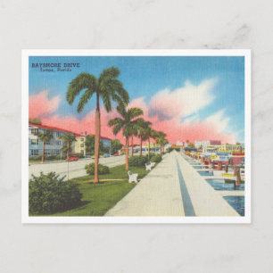 Tampa, Florida antieke Bayshore Drive en Marina Briefkaart
