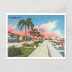 Tampa, Florida  Bayshore Drive en Marina Briefkaart