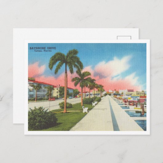 Tampa, Florida Bayshore Drive en Marina Briefkaart (Voorkant / Achterkant)