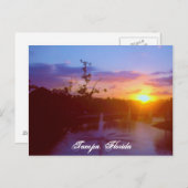 Tampa Florida Briefkaart (Voorkant / Achterkant)