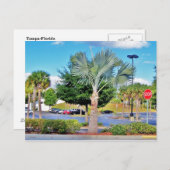 Tampa-Florida Briefkaart (Voorkant / Achterkant)