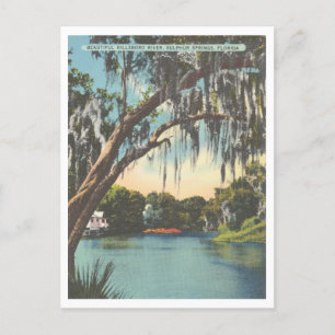 Tampa Florida Hillsborough River Sulphur Springs Briefkaart