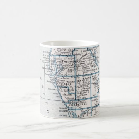 Tampa naar Ft. Myers Mok (Center)