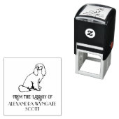 Tampon Auto-encreur Bibliothèque de chiens espagnols Cavalier King Cha (En situation)