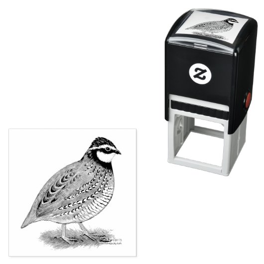 Tampon Auto-encreur Bobwhite Quail (En situation)