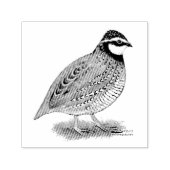 Tampon Auto-encreur Bobwhite Quail (Design)