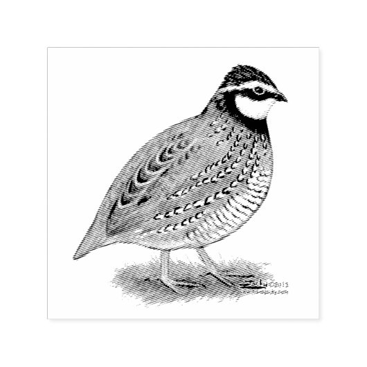 Tampon Auto-encreur Bobwhite Quail (Design)