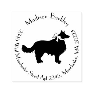Tampon Auto-encreur Bordure Collie Chien Chien Chien Puppy